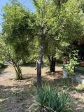 Продава КЪЩА, област София, с. Горна Малина • 69000 € • 95965821 6 — Holmes.bg Продава КЪЩА, област София, с. Горна Малина • 69000 € • 95965821 6