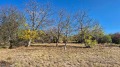 Продава ПАРЦЕЛ, област Перник, с. Бабица • 30000 € • 39717570 2 — Holmes.bg Продава ПАРЦЕЛ, област Перник, с. Бабица • 30000 € • 39717570 2