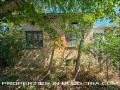 Продава КЪЩА, област Шумен, с. Велино • 38000 € • 30757238 6 — Holmes.bg Продава КЪЩА, област Шумен, с. Велино • 38000 € • 30757238 6