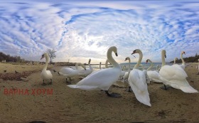 Продава ЗАВЕДЕНИЕ | Imot.bg — малка снимка 14