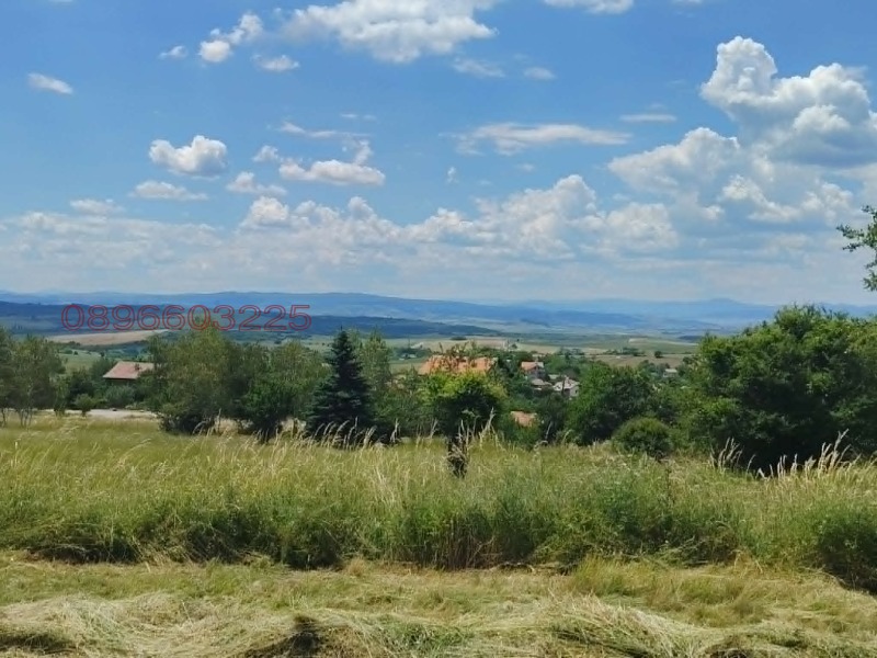 Продава ПАРЦЕЛ, област Перник, с. Дивотино • 35000 € / 68454.05 лв. • 96055991 1 — Holmes.bg Продава ПАРЦЕЛ, област Перник, с. Дивотино • 35000 € / 68454.05 лв. • 96055991 1