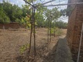 Продава КЪЩА, област Враца, с. Липница • 25000 € / 48895.75 лв. • 81396554 5 — Holmes.bg Продава КЪЩА, област Враца, с. Липница • 25000 € / 48895.75 лв. • 81396554 5