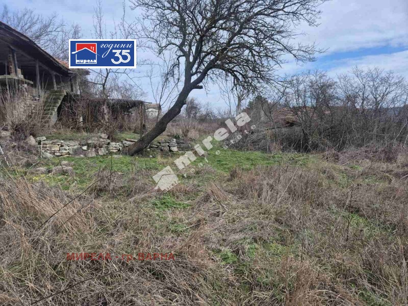 Продава ПАРЦЕЛ, област Добрич, с. Рогачево • 65000 € / 127128.95 лв. • 22933045 1 — Holmes.bg Продава ПАРЦЕЛ, област Добрич, с. Рогачево • 65000 € / 127128.95 лв. • 22933045 1