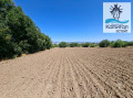 Продава Парцел област Сливен , с. Полско Пъдарево , 3170 кв.м | 28054982 — Imoti.com Продава Парцел област Сливен , с. Полско Пъдарево , 3170 кв.м | 28054982