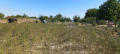 Продава ПАРЦЕЛ, област Стара Загора, с. Ястребово • 20000 € • 61922134 4 — Holmes.bg Продава ПАРЦЕЛ, област Стара Загора, с. Ястребово • 20000 € • 61922134 4