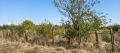 Продава ПАРЦЕЛ, област Стара Загора, с. Ястребово • 20000 € • 61922134 2 — Holmes.bg Продава ПАРЦЕЛ, област Стара Загора, с. Ястребово • 20000 € • 61922134 2