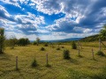 Продава Парцел област Стара Загора , с. Дълбоки , 1240 кв.м | 66872809 — Imoti.com Продава Парцел област Стара Загора , с. Дълбоки , 1240 кв.м | 66872809