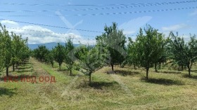 ПАРЦЕЛ, 4 000 m2 - Holmes.bg ПАРЦЕЛ, 4 000 m2