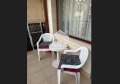 Продава 3-СТАЕН, град Варна, к.к. Златни пясъци • 239000 € • 77916538 5 — Holmes.bg Продава 3-СТАЕН, град Варна, к.к. Златни пясъци • 239000 € • 77916538 5