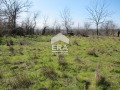 Продава ПАРЦЕЛ, област Варна, с. Кривня • 11300 € / 22100.88 лв. • 14895666 3 — Holmes.bg Продава ПАРЦЕЛ, област Варна, с. Кривня • 11300 € / 22100.88 лв. • 14895666 3