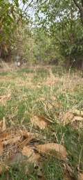 Продава КЪЩА, област Пловдив, гр. Карлово • 350000 € • 74292522 12 — Holmes.bg Продава КЪЩА, област Пловдив, гр. Карлово • 350000 € • 74292522 12
