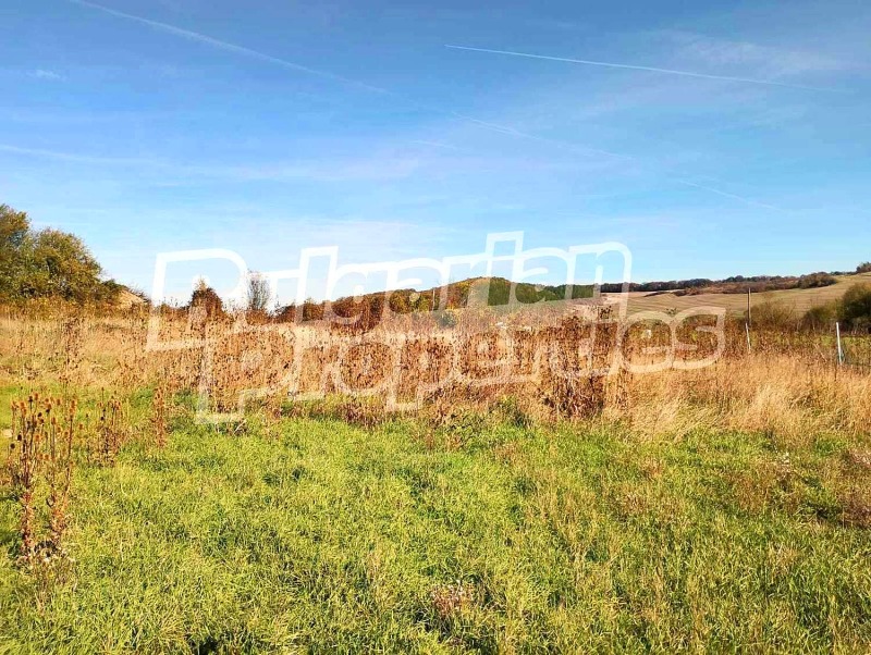 Продава ПАРЦЕЛ, област Търговище, с. Дралфа • 10000 € / 19558.30 лв. • 21098081 1 — Holmes.bg Продава ПАРЦЕЛ, област Търговище, с. Дралфа • 10000 € / 19558.30 лв. • 21098081 1