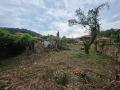 Продава ПАРЦЕЛ, област Ловеч, с. Калейца • 10900 € / 21318.55 лв. • 90578948 9 — Holmes.bg Продава ПАРЦЕЛ, област Ловеч, с. Калейца • 10900 € / 21318.55 лв. • 90578948 9
