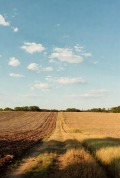 Продава ПАРЦЕЛ, област София, с. Мусачево • 45000 € • 62567236 13 — Holmes.bg Продава ПАРЦЕЛ, област София, с. Мусачево • 45000 € • 62567236 13