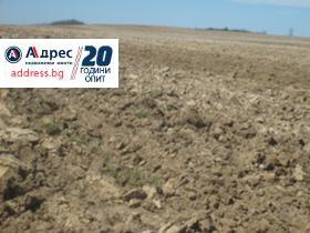 Продажба на земеделски земи в област Велико Търново - изображение 4 