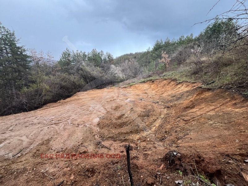 Продава ПАРЦЕЛ, област Пловдив, с. Храбрино • 84800 € / 165854.38 лв. • 45903372 1 — Holmes.bg Продава ПАРЦЕЛ, област Пловдив, с. Храбрино • 84800 € / 165854.38 лв. • 45903372 1