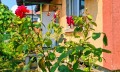 Продава КЪЩА, град София, Обеля • 155900 € • 95002211 5 — Holmes.bg Продава КЪЩА, град София, Обеля • 155900 € • 95002211 5