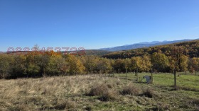 Обява Продава КЪЩА,с. Пауново, област София