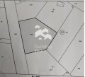 Продава ПАРЦЕЛ, област Пловдив, с. Скутаре • 48000 € • 57595815 1 — Holmes.bg Продава ПАРЦЕЛ, област Пловдив, с. Скутаре • 48000 € • 57595815 1