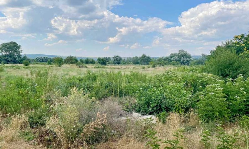 Продава ПАРЦЕЛ, област Варна, с. Гроздьово • 15500 € • 78510356 1 — Holmes.bg Продава ПАРЦЕЛ, област Варна, с. Гроздьово • 15500 € • 78510356 1