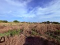 Продава Парцел област Стара Загора , с. Сърнево , 2800 кв.м | 66060934 — Imoti.com Продава Парцел област Стара Загора , с. Сърнево , 2800 кв.м | 66060934
