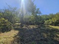 Продава ПАРЦЕЛ, град Русе, в.з. Касева Чешма • 16000 € • 90854877 4 — Holmes.bg Продава ПАРЦЕЛ, град Русе, в.з. Касева Чешма • 16000 € • 90854877 4