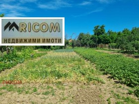 Обява Продава КЪЩА,с. Коиловци, област Плевен