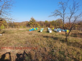 Продажба на имоти в с. Керека, област Габрово - изображение 8 