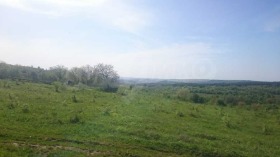 Продава Парцел, с. Малки чифлик
