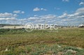 Продава ПАРЦЕЛ, област Варна, гр. Белослав • 125775 € / 245994.52 лв. • 84325713 4 — Holmes.bg Продава ПАРЦЕЛ, област Варна, гр. Белослав • 125775 € / 245994.52 лв. • 84325713 4