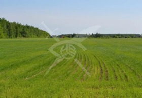 ПАРЦЕЛ, 1 100 m2 - Holmes.bg ПАРЦЕЛ, 1 100 m2