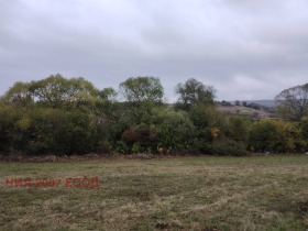 Обява Продава ПАРЦЕЛ,с. Белопопци, област София>