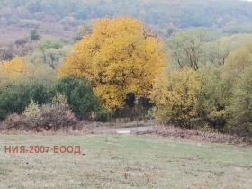 Обява Продава ПАРЦЕЛ,с. Белопопци, област София