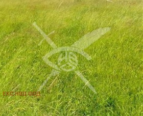 ПАРЦЕЛ, 1 217 m2 - Holmes.bg ПАРЦЕЛ, 1 217 m2