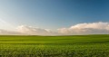 Продава Земеделска земя област Стара Загора , с. Ягода , 37 дка | 59397807 — Imoti.com Продава Земеделска земя област Стара Загора , с. Ягода , 37 дка | 59397807