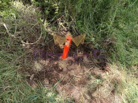 Обява Продава ПАРЦЕЛ,с. Водица, област Варна>