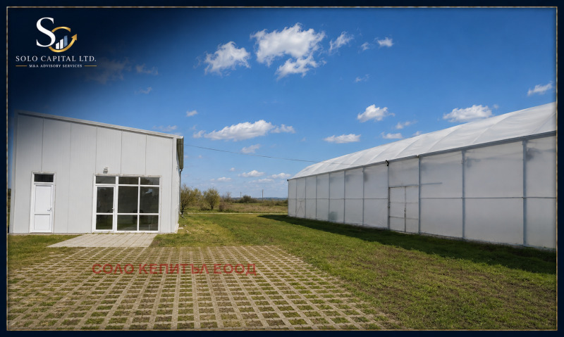 Продава ПАРЦЕЛ, област Стара Загора, с. Мирово • 515000 € • 56454839 1 — Holmes.bg Продава ПАРЦЕЛ, област Стара Загора, с. Мирово • 515000 € • 56454839 1