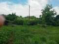 Продава КЪЩА, област Велико Търново, с. Ресен • 24000 € • 77943577 5 — Holmes.bg Продава КЪЩА, област Велико Търново, с. Ресен • 24000 € • 77943577 5