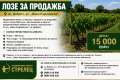 Продава ПАРЦЕЛ, град Добрич, в.з. Лозята • 15000 € / 29337.45 лв. • 60533431 1 — Holmes.bg Продава ПАРЦЕЛ, град Добрич, в.з. Лозята • 15000 € / 29337.45 лв. • 60533431 1