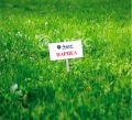 Продава ПАРЦЕЛ, област Варна, с. Бенковски • 37900 € • 74559022 1 — Holmes.bg Продава ПАРЦЕЛ, област Варна, с. Бенковски • 37900 € • 74559022 1