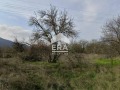 Продава ПАРЦЕЛ, с. Ново село, област Стара Загора, снимка 2 — Bazar.bg Продава ПАРЦЕЛ, с. Ново село, област Стара Загора, снимка 2