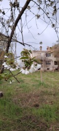 Продава Къща област Добрич , с. Спасово , 130 кв.м | 67378613 — Imoti.com Продава Къща област Добрич , с. Спасово , 130 кв.м | 67378613