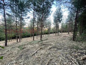 ПАРЦЕЛ, 1 797 m2 - Holmes.bg ПАРЦЕЛ, 1 797 m2