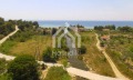 Продава ПАРЦЕЛ, Гърция, Халкидики • 530000 € / 1036589.90 лв. • 46051169 17 — Holmes.bg Продава ПАРЦЕЛ, Гърция, Халкидики • 530000 € / 1036589.90 лв. • 46051169 17