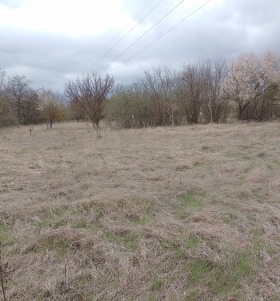 ПАРЦЕЛ, 5 007 m2 - Holmes.bg ПАРЦЕЛ, 5 007 m2