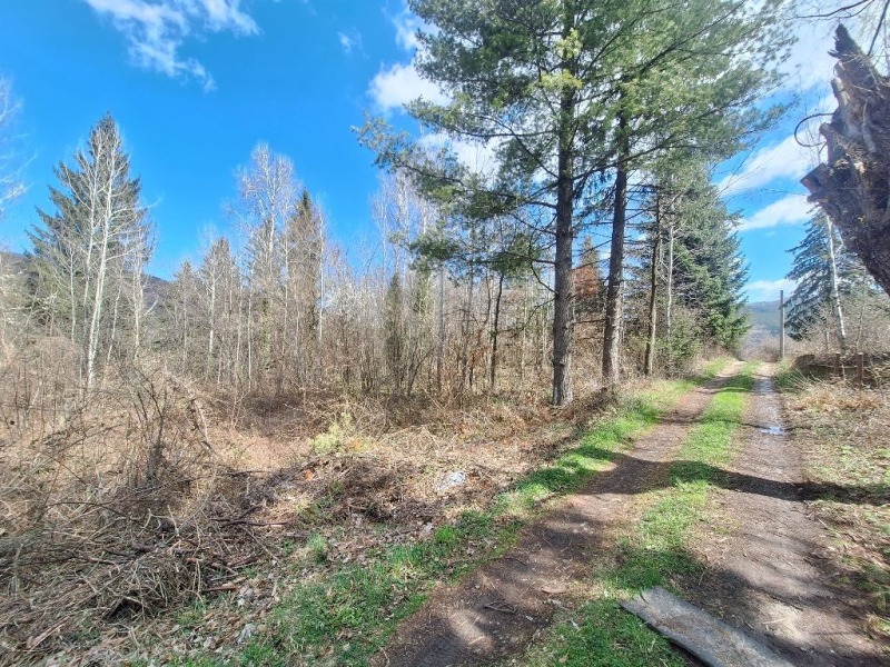 Продава ПАРЦЕЛ, град София, с. Владая • 60000 € / 117349.80 лв. • 25165134 1 — Holmes.bg Продава ПАРЦЕЛ, град София, с. Владая • 60000 € / 117349.80 лв. • 25165134 1