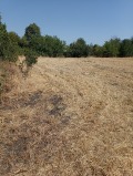 Продава ПАРЦЕЛ, с. Ловец, област Стара Загора, снимка 2 — Bazar.bg Продава ПАРЦЕЛ, с. Ловец, област Стара Загора, снимка 2