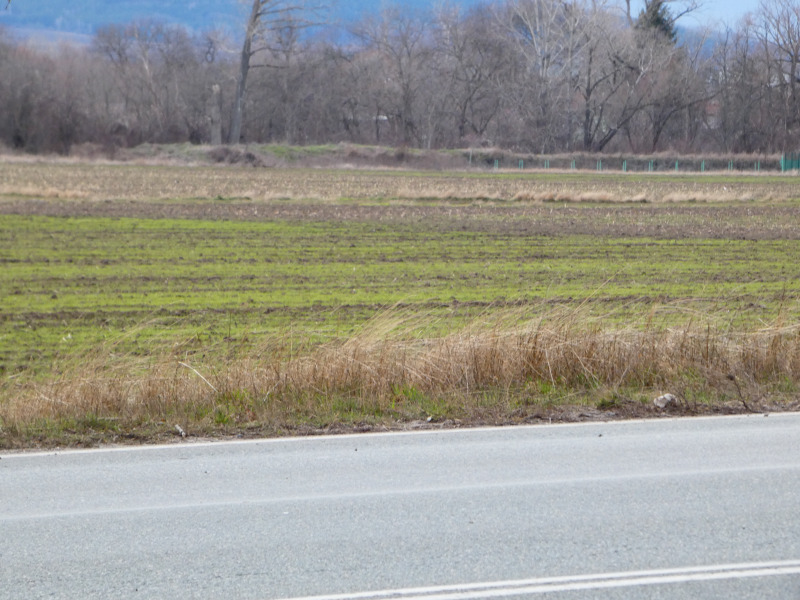 Продава ПАРЦЕЛ, град София, Люлин 1 • 1641000 € / 3209517.03 лв. • 32619111 1 — Holmes.bg Продава ПАРЦЕЛ, град София, Люлин 1 • 1641000 € / 3209517.03 лв. • 32619111 1