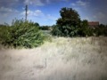 Продава Парцел област Пазарджик , с. Лозен , 1422 кв.м | 39293288 — Imoti.com Продава Парцел област Пазарджик , с. Лозен , 1422 кв.м | 39293288