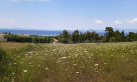 ПАРЦЕЛ, 4 218 m2 - Holmes.bg ПАРЦЕЛ, 4 218 m2